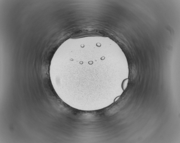 X0000111130236200907281058