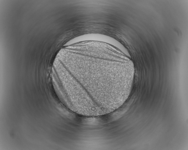X0000111130237200907281058