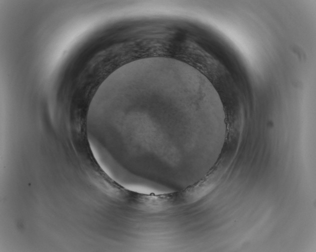 X0000111130239200907281058