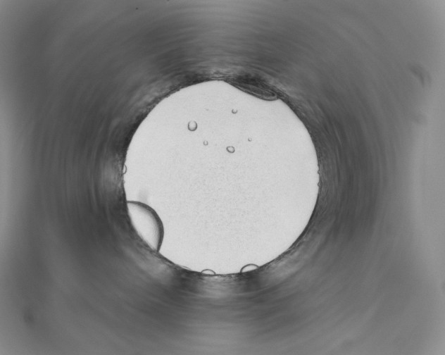 X0000111130240200907281058