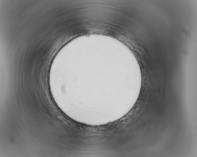 X0000111130241200907281057