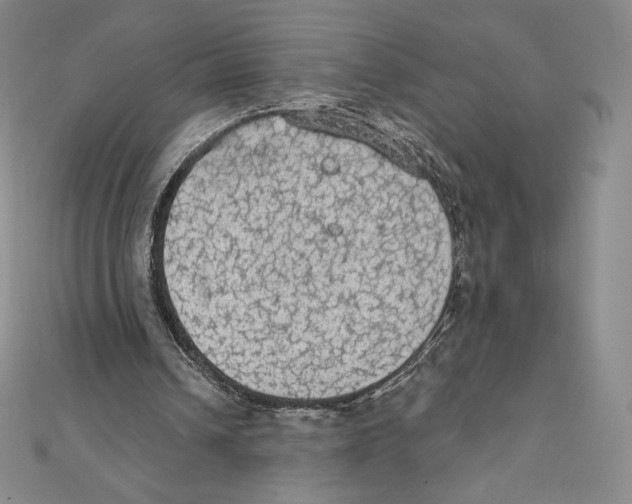 X0000111130242200907281057