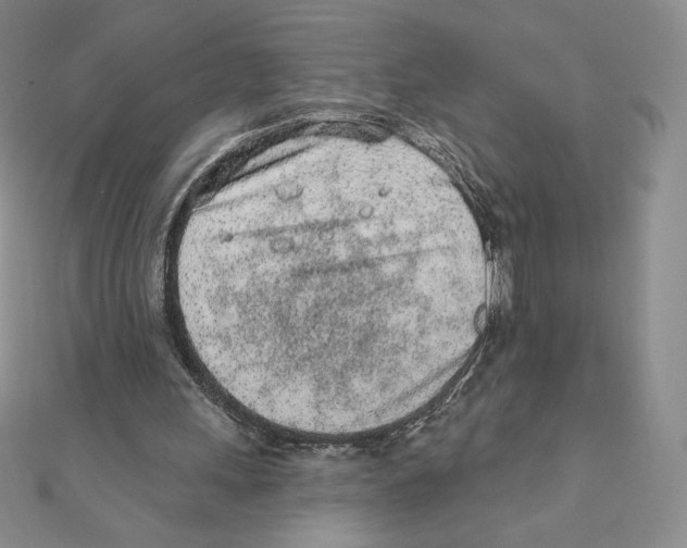 X0000111130243200907281057
