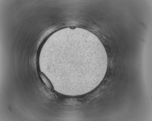 X0000111130244200907281057