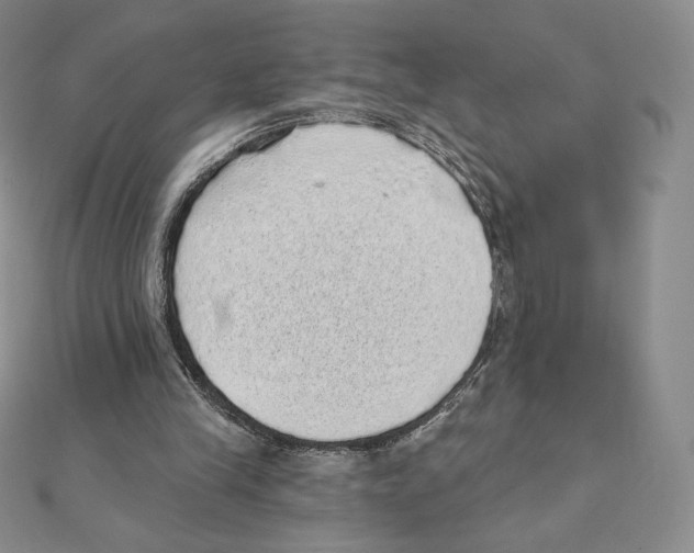 X0000111130245200907281057