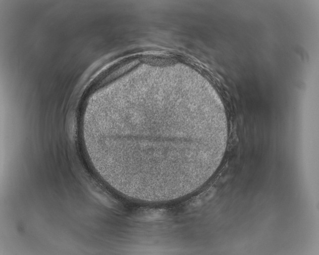 X0000111130247200907281057