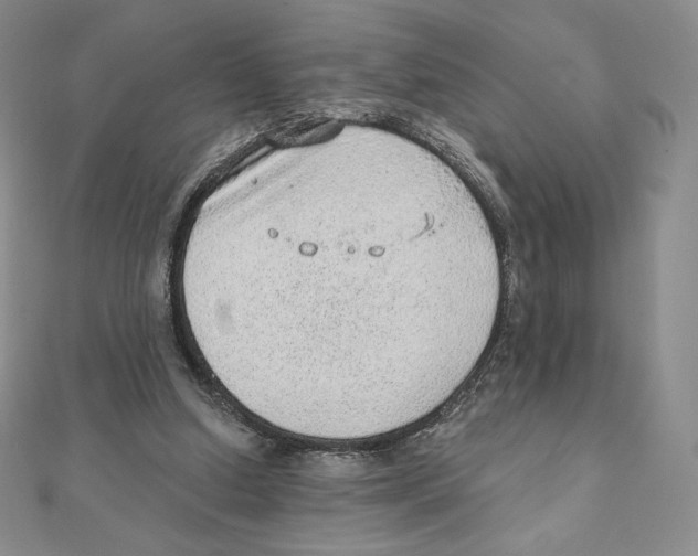 X0000111130250200907281057