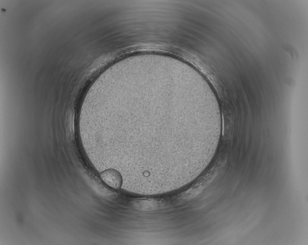X0000111130253200907281057