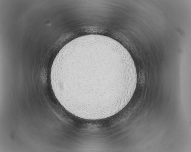 X0000111130255200907281057