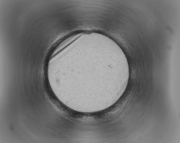 X0000111130256200907281057