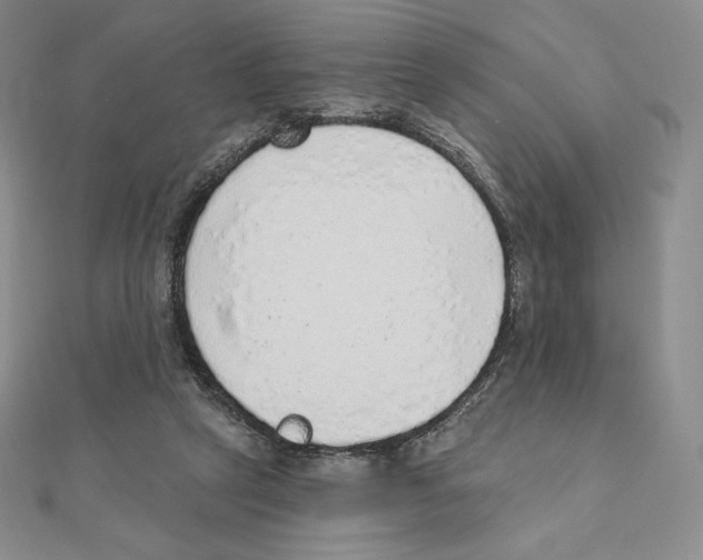 X0000111130257200907281057