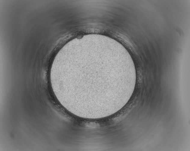 X0000111130258200907281057