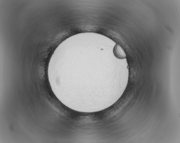 X0000111130259200907281057