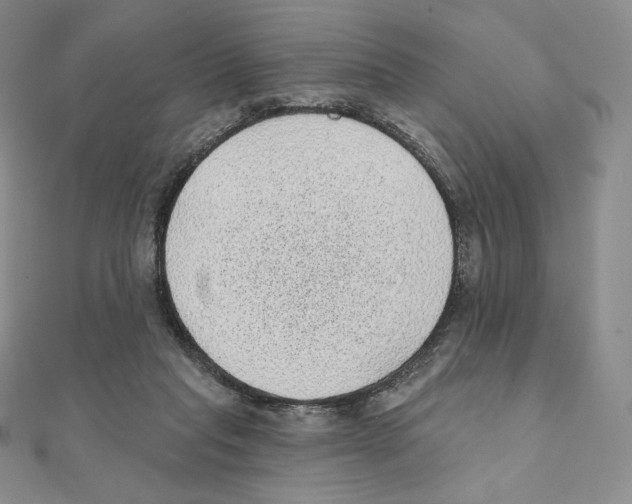 X0000111130261200907281057