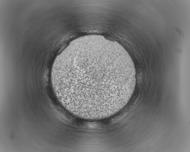 X0000111130264200907281057