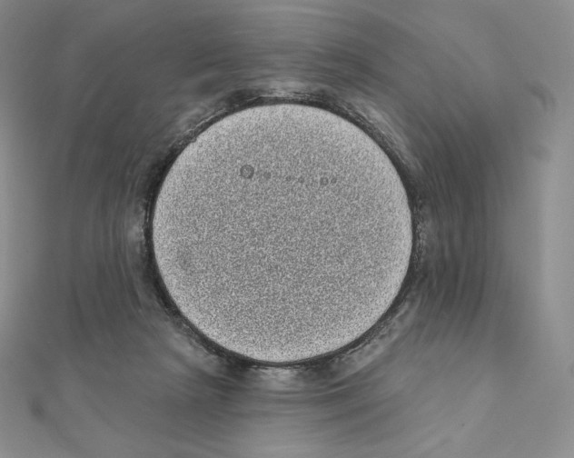 X0000111130265200907281057