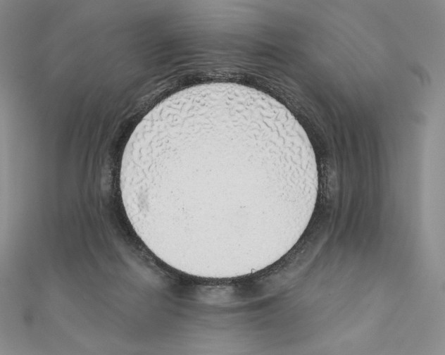 X0000111130266200907281057