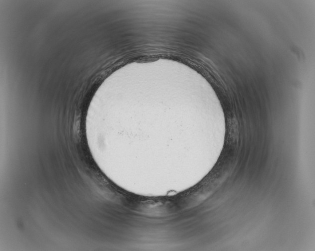 X0000111130267200907281057