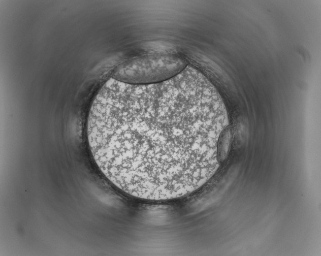 X0000111130268200907281057