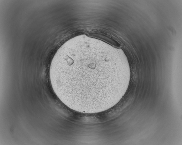 X0000111130270200907281057