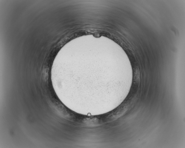 X0000111130271200907281057