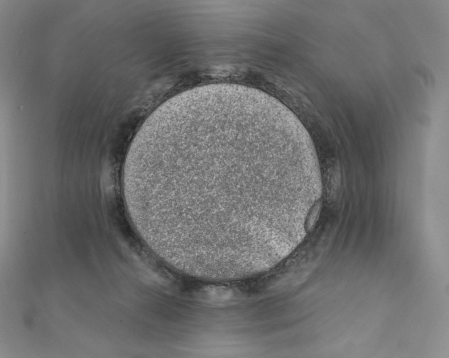 X0000111130272200907281057