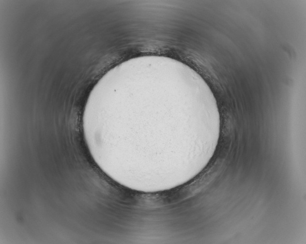 X0000111130273200907281057
