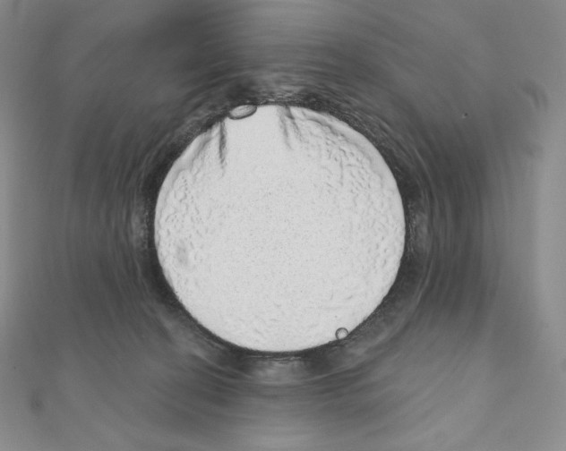 X0000111130274200907281057