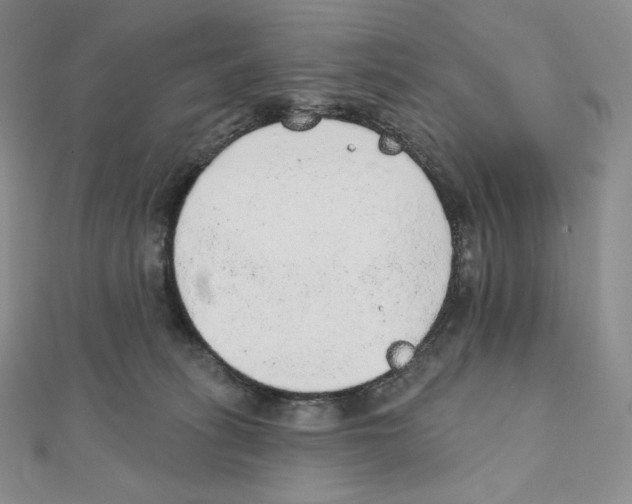 X0000111130275200907281057