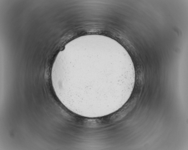 X0000111130277200907281057