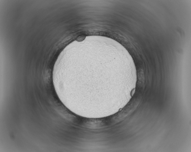 X0000111130278200907281057