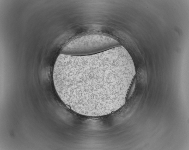 X0000111130280200907281057