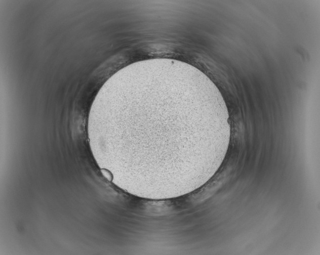X0000111130281200907281057
