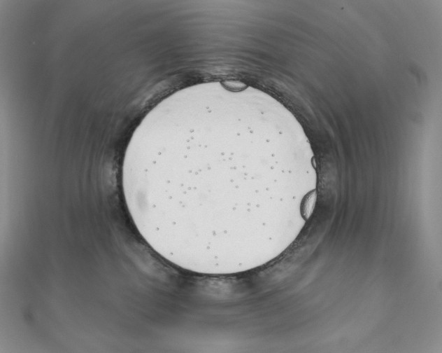 X0000111130282200907281057