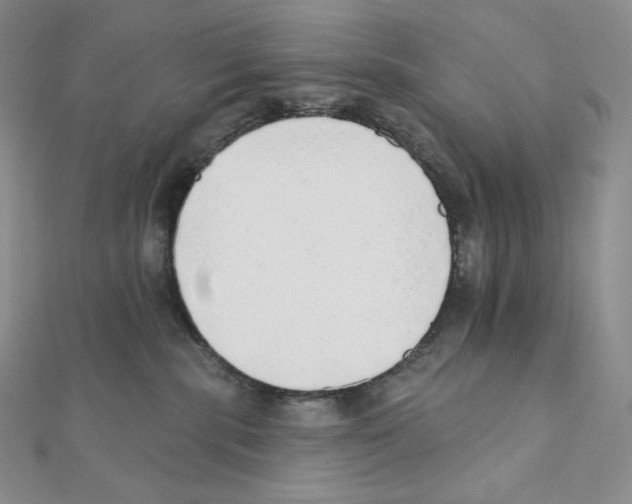 X0000111130283200907281057