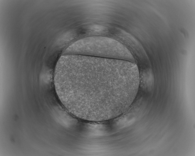 X0000111130284200907281057