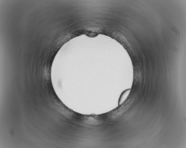 X0000111130285200907281057