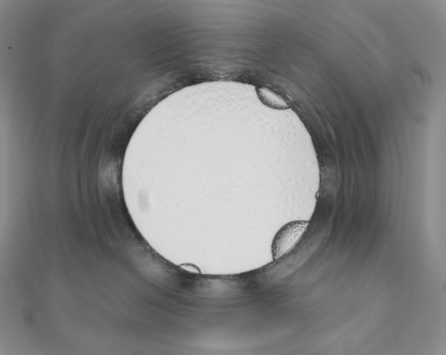 X0000111130286200907281057