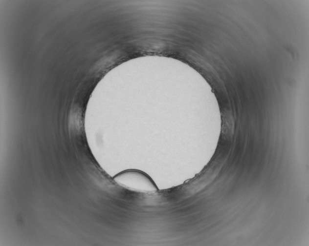 X0000111130287200907281057