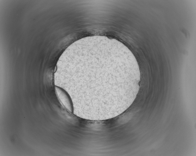 X0000111130288200907281058