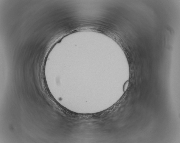 X0000111130289200907281057