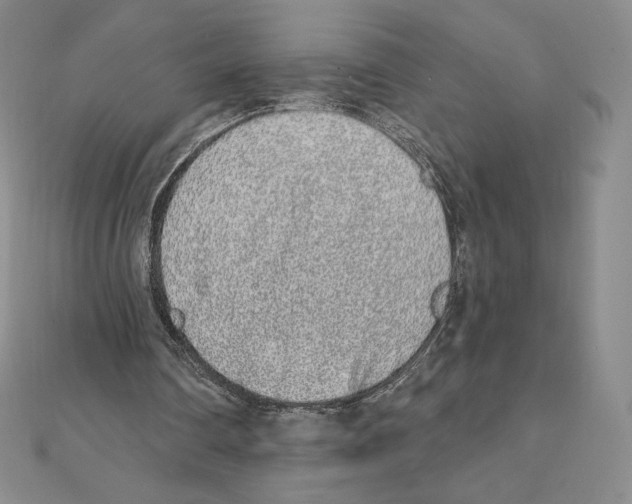 X0000111130290200907281057