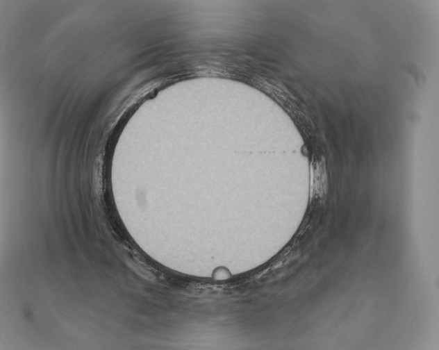 X0000111130291200907281057