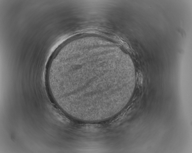 X0000111130292200907281057