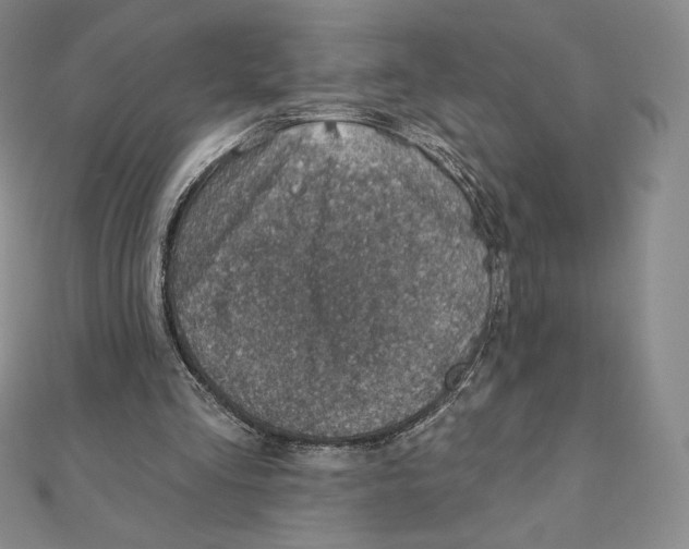 X0000111130293200907281057