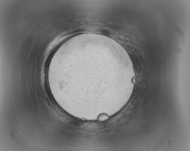 X0000111130294200907281057