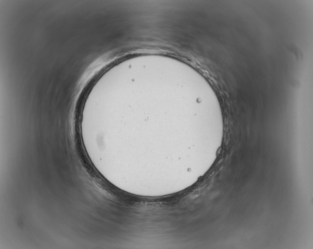 X0000111130296200907281057