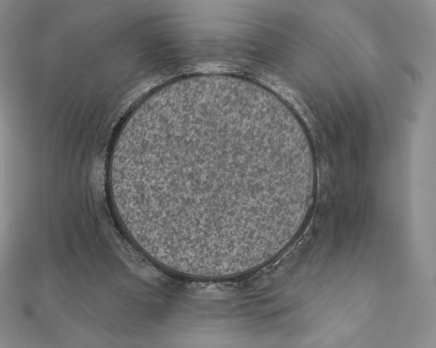 X0000111130297200907281057