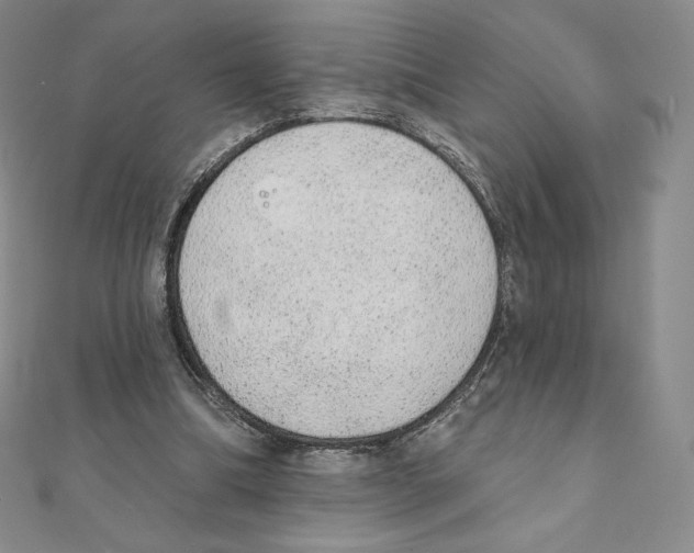 X0000111130298200907281057