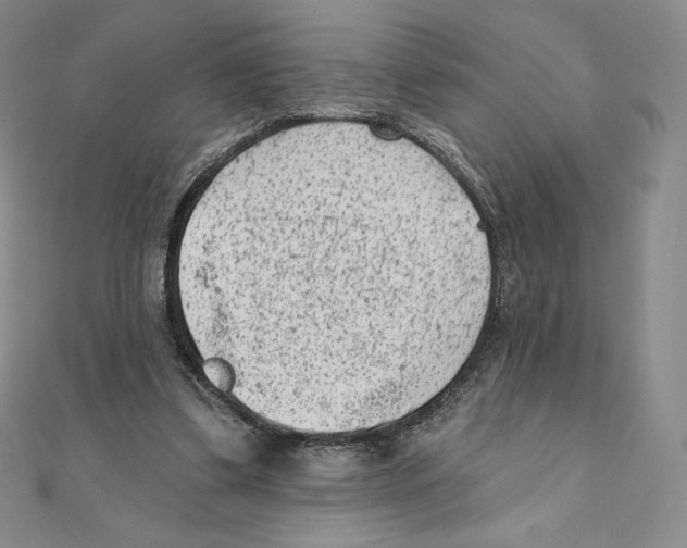 X0000111130299200907281057